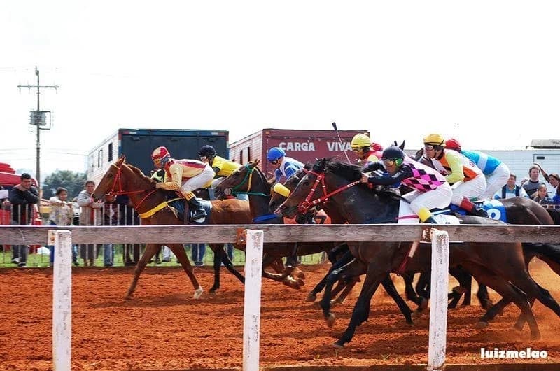 JCosta Treinamento para Cavalos de Corrida