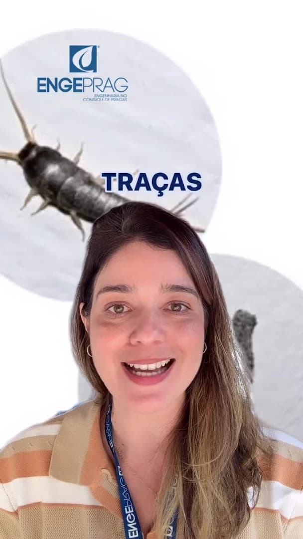 ENGEPRAG - Controle de Pragas Urbanas – foto 3