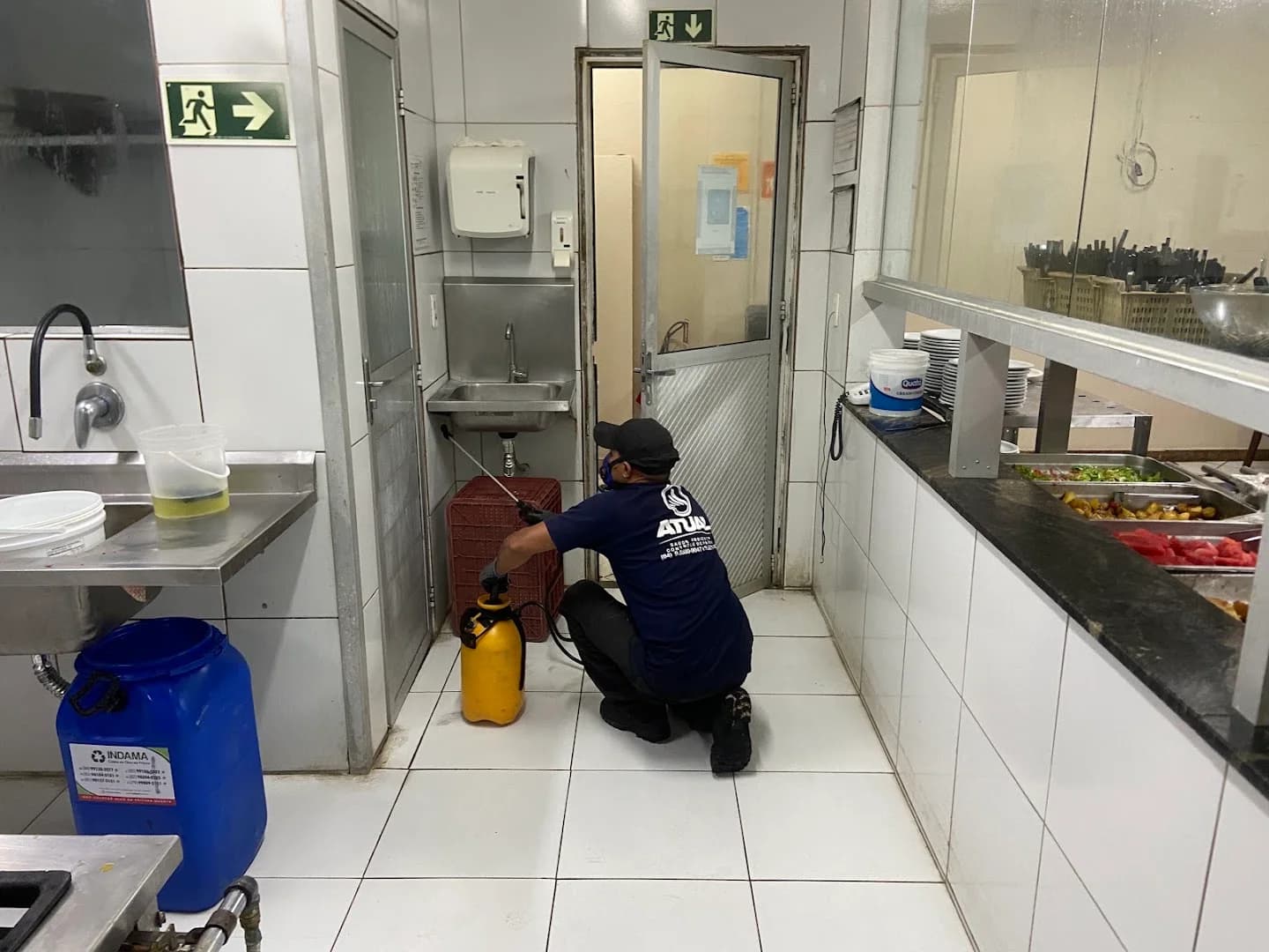 Atual Controle de Pragas Dedetizadora – foto 3