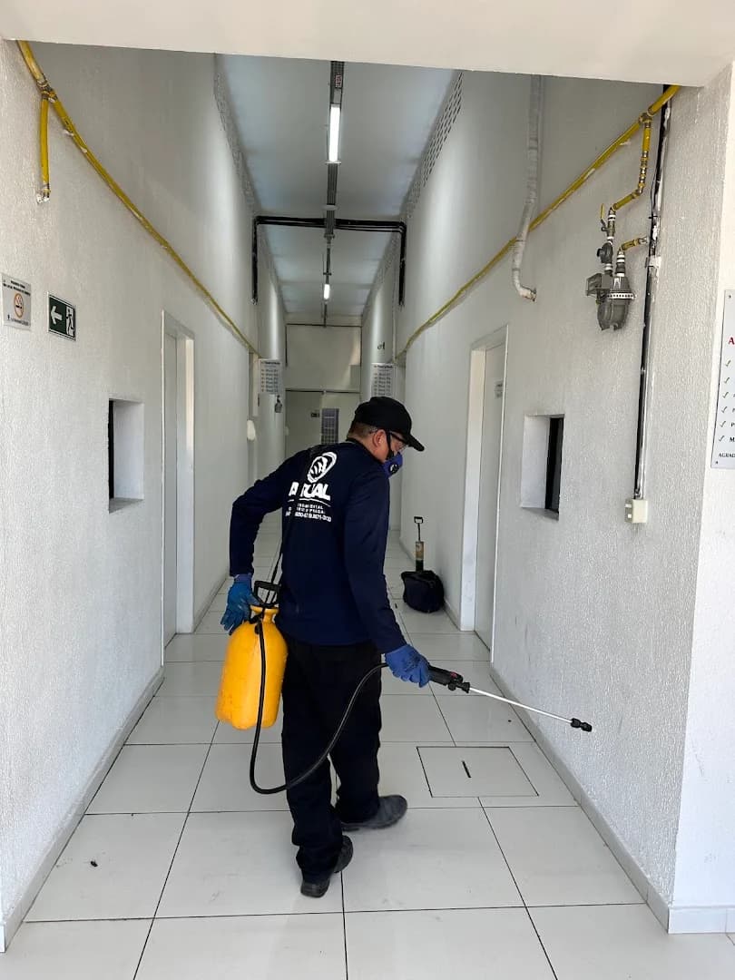 Atual Controle de Pragas Dedetizadora