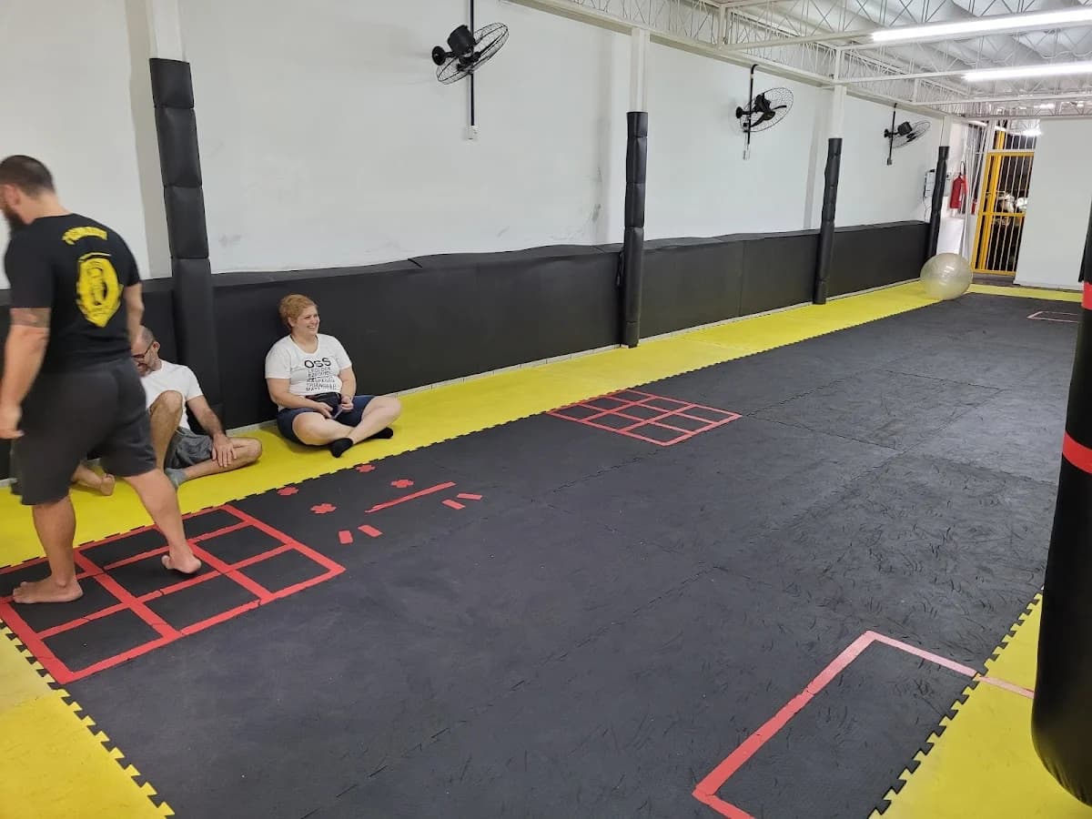 Vikings Treinamento Integrado – foto 1