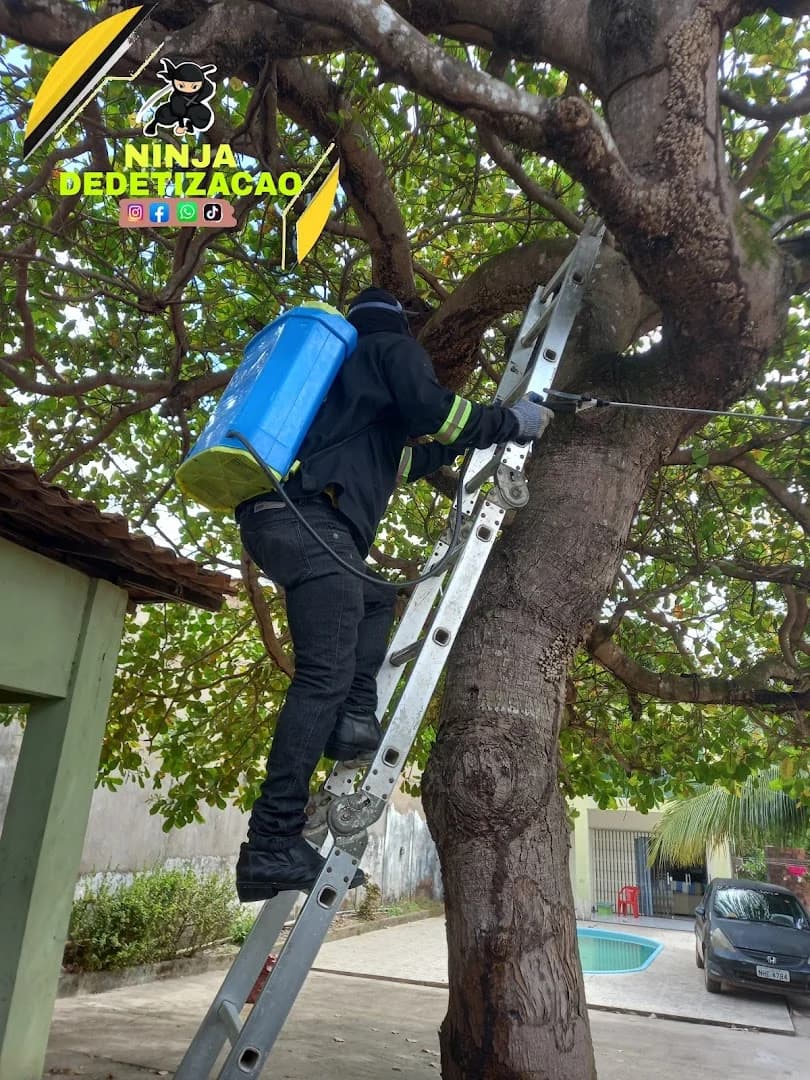 NINJA DEDETIZAÇÃO – foto 3