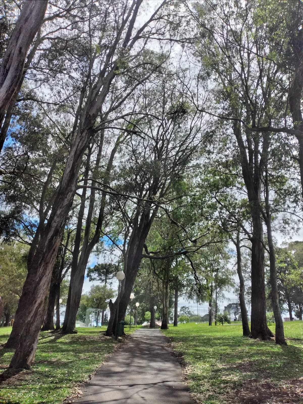 Parque Monteiro Lobato – foto 1