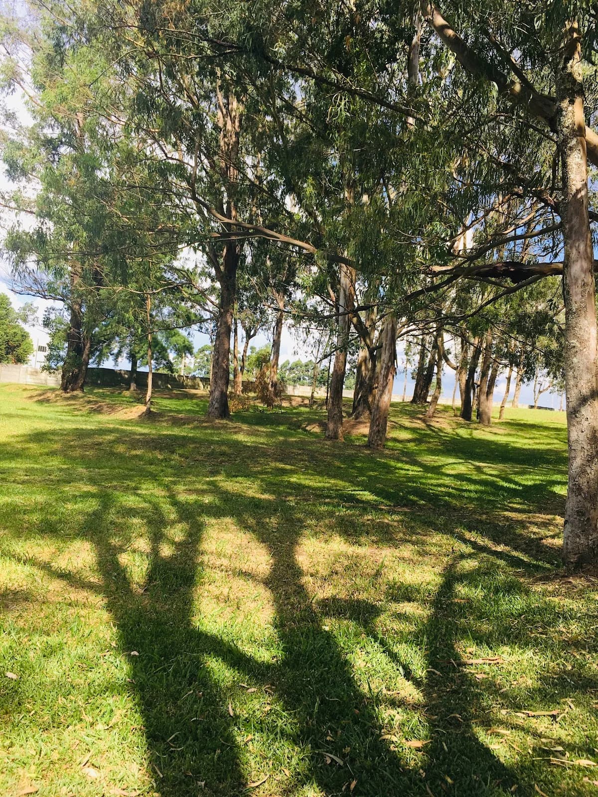 Parque Monteiro Lobato – foto 2