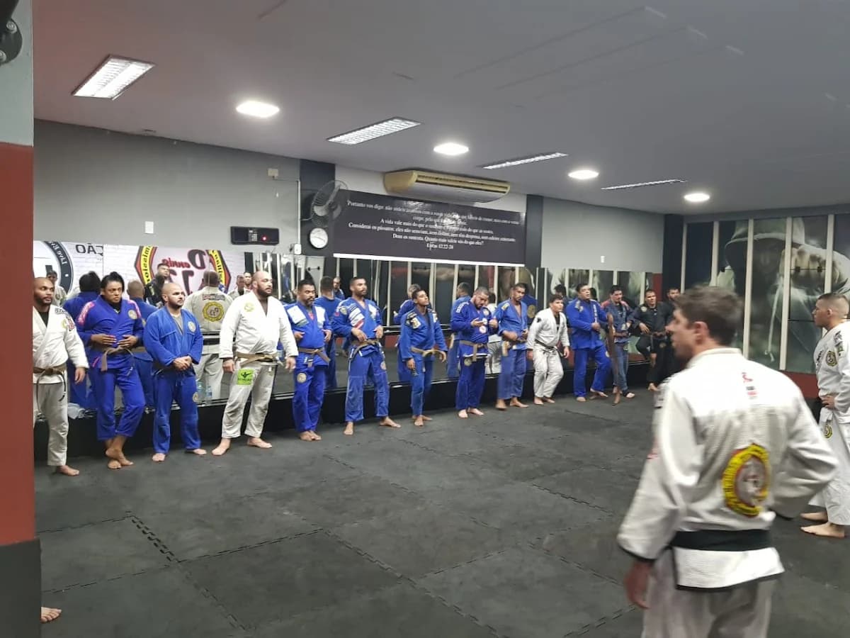 Dennis Jiu-Jitsu Club – foto 3