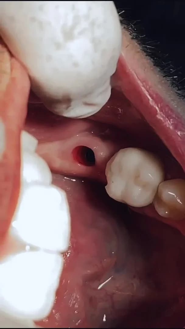 Prodonto Juiz de Fora Odontologia Especializada. – foto 2
