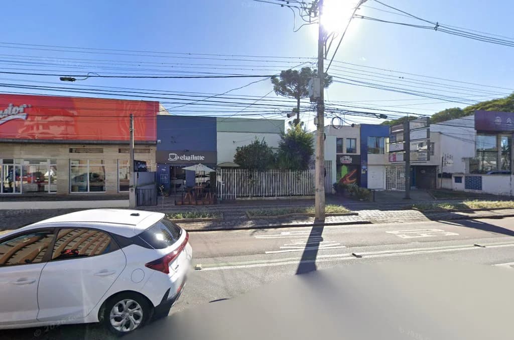 Dedetizador Curitiba | Dedetização de ratos, baratas, aranhas e cupins em Curitiba