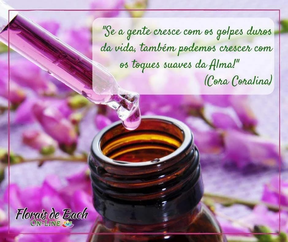 Belife Fisioterapia – foto 3