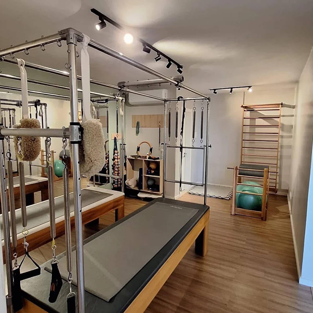 Fabiana Danguy Pilates e Fisioterapia - Zona Sul – foto 3