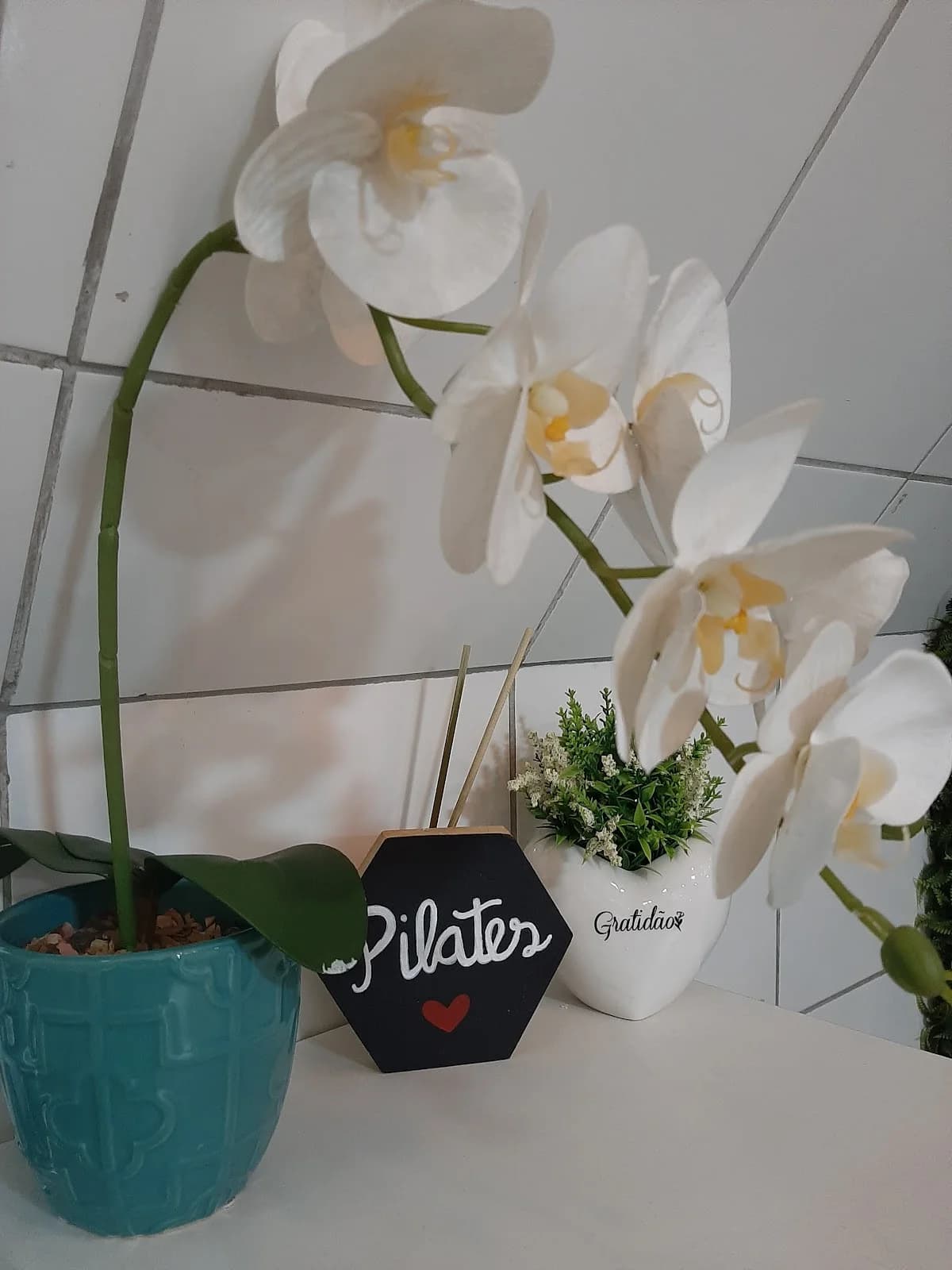 Studio Pilates Laila Almeida – foto 3