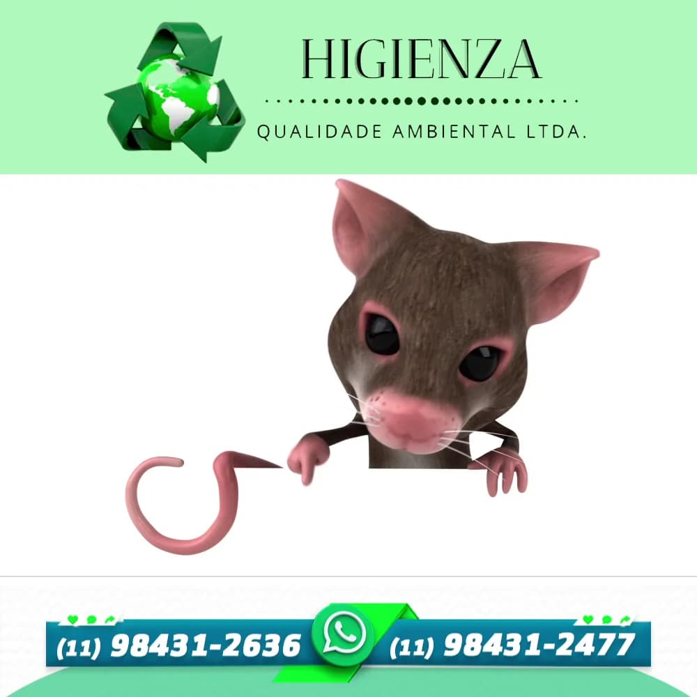 Higienza Qualidade Ambiental - Detetizadora em Santo André - Limpeza de Caixa D'água – foto 2