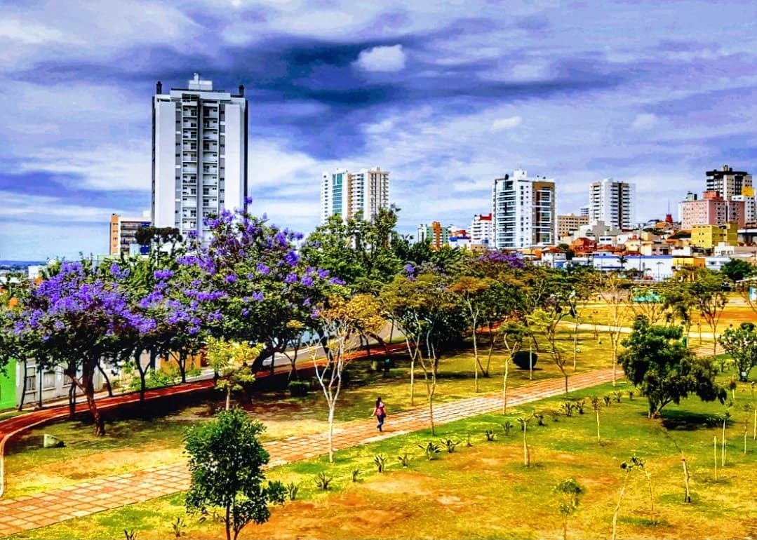 Parque Ambiental Governador Manoel Ribas – foto 1