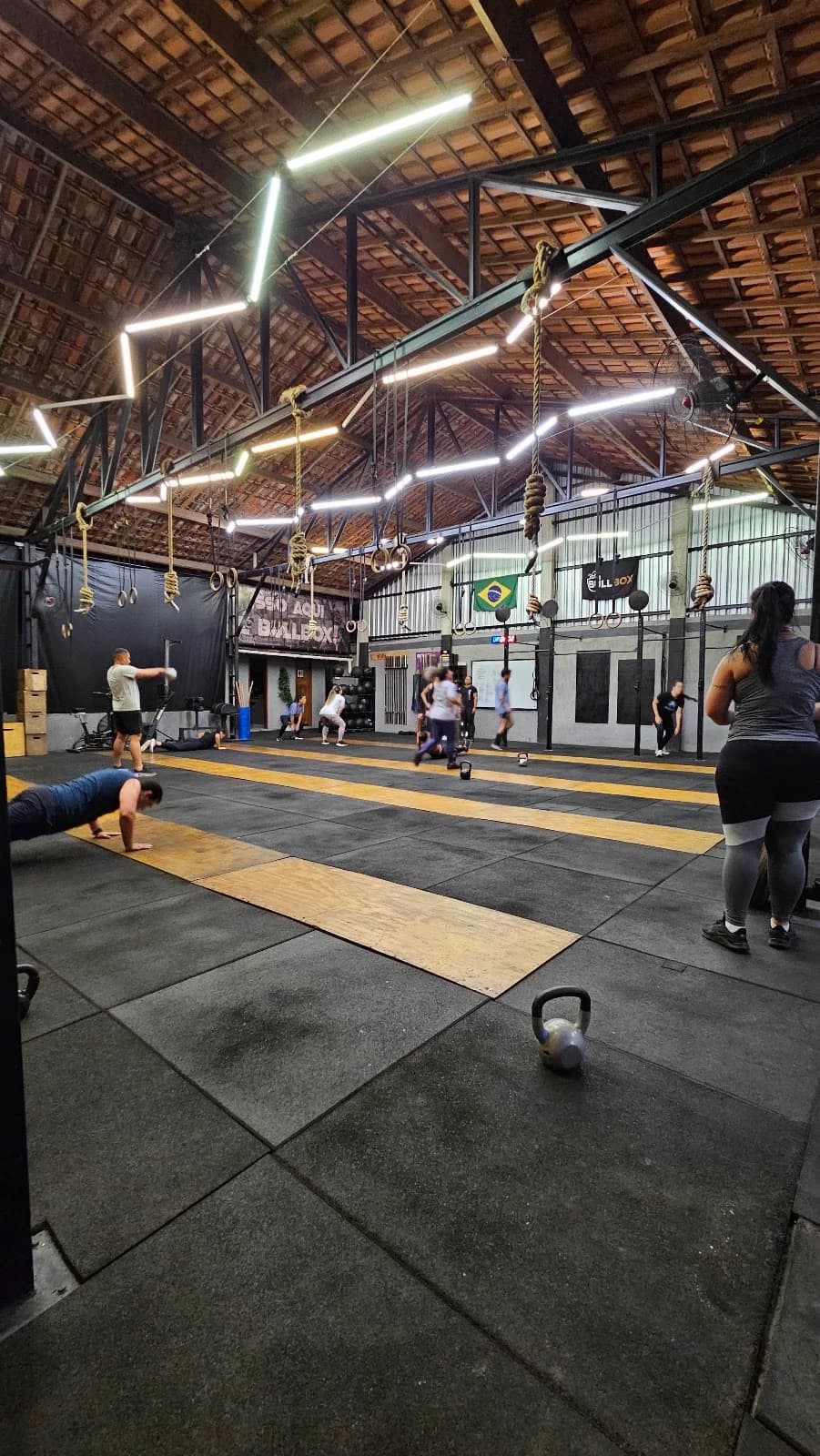 Bullbox CT - Maria Paula 🇧🇷 – foto 2