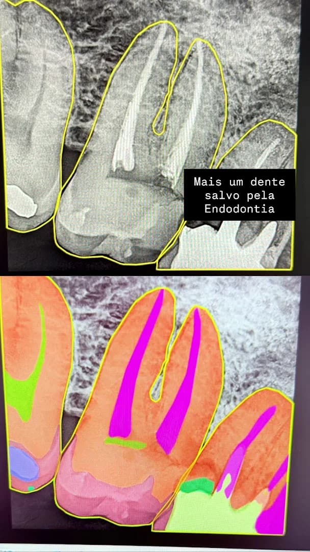 Dra. Eline Gonçalves - Dentista Maceió 24h – foto 2