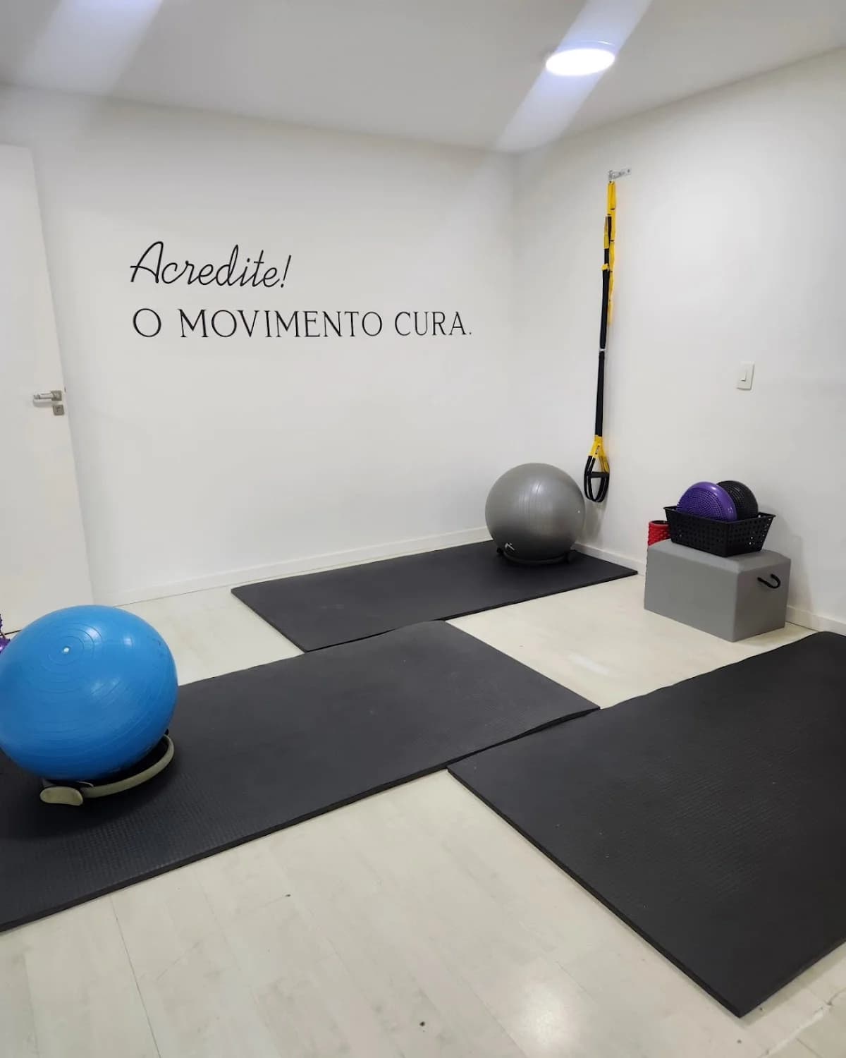 Iara Perdigão Fisio Studio - Pilates em Botafogo – foto 2