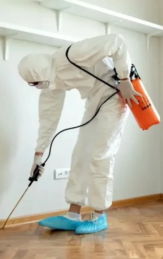 ABC Controle de pragas – foto 3