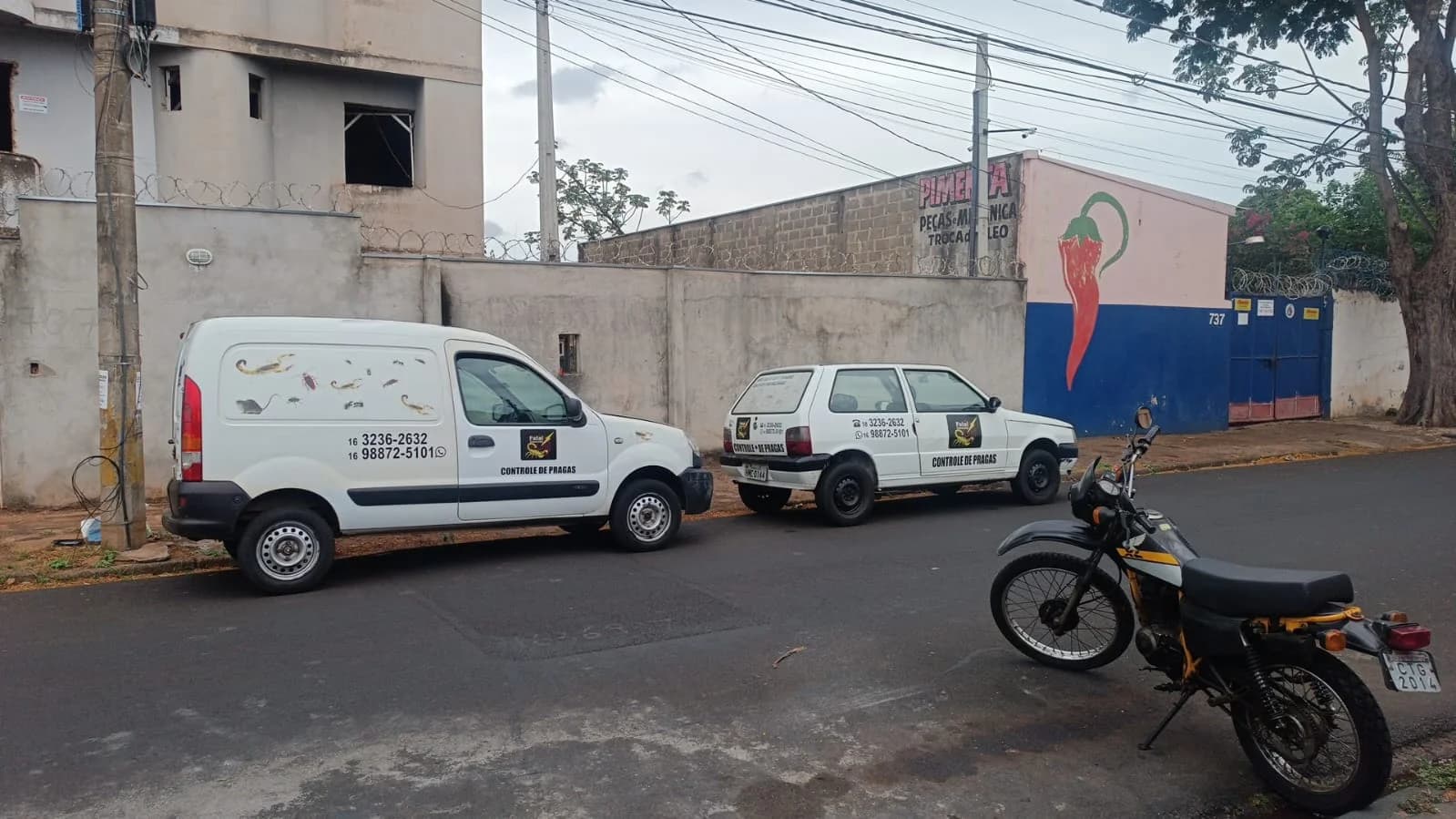 Dedetizadora em Ribeirão Preto - Controle de Pragas | Fatal Insects – foto 1