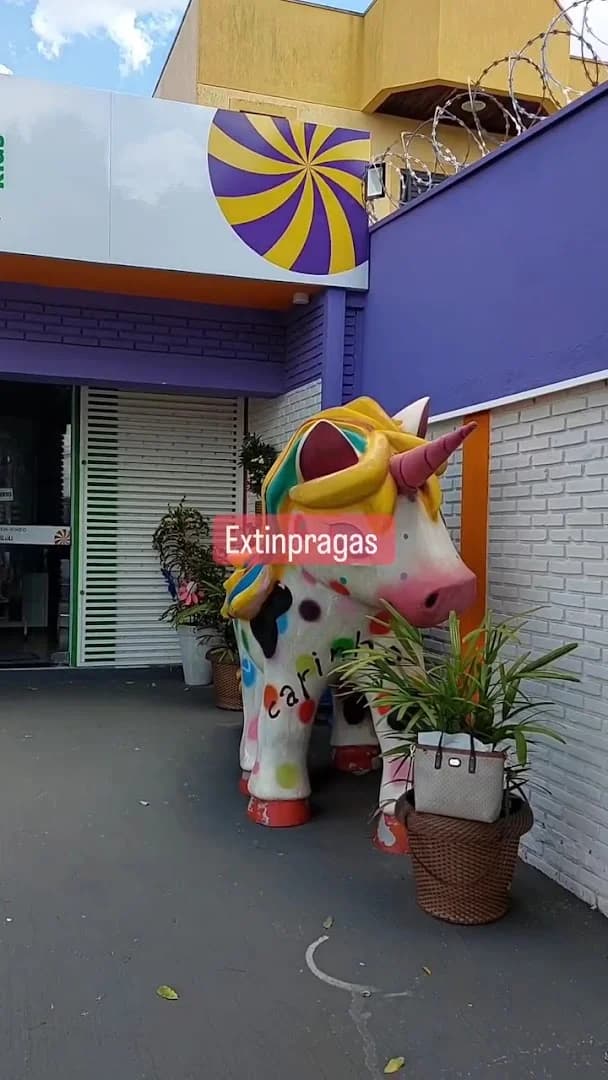 Extinpragas dedetizadora – foto 3