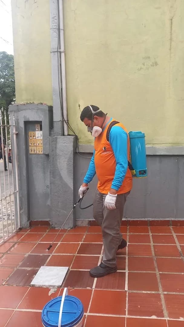 Higiplim Dedetizadora Controle de Pragas – foto 3