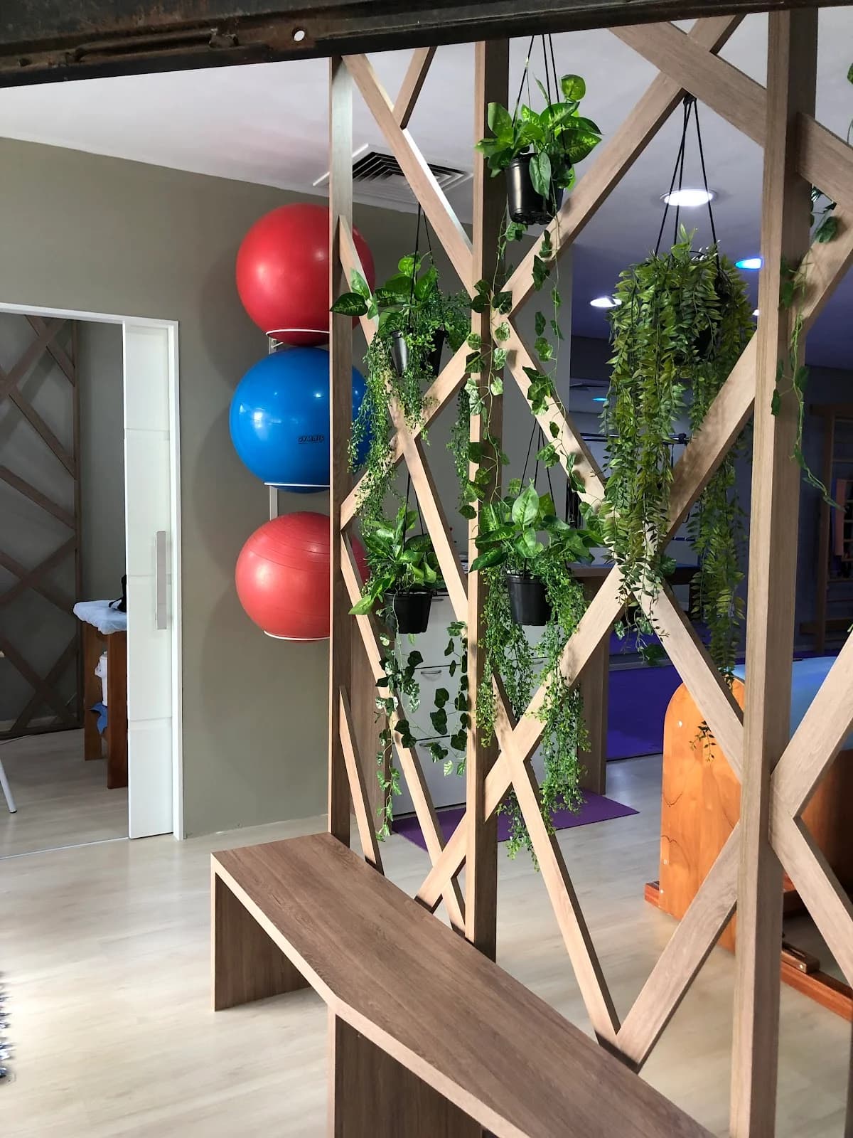 Gabriela Zasso Pilates e Fisioterapia – foto 3