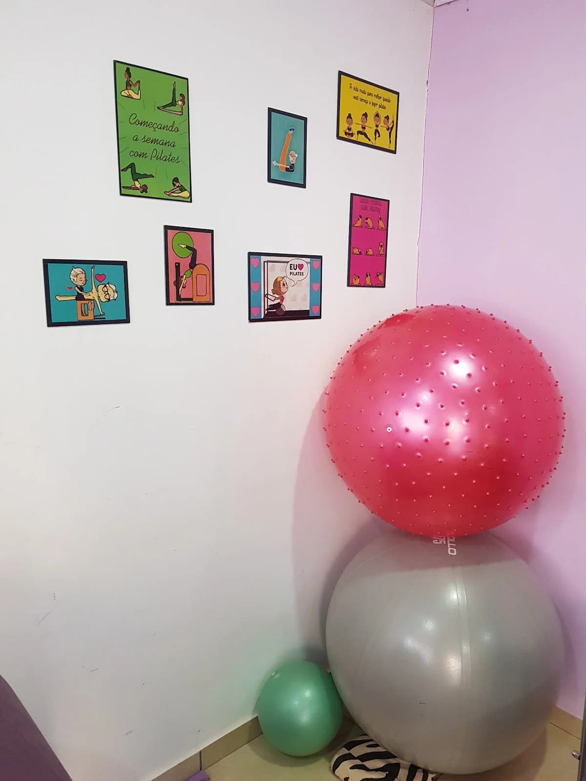 ESPAÇO VOLPE PILATES – foto 3