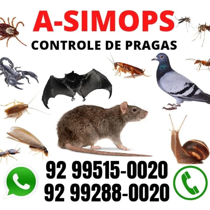 ASimops Serviços Tecnicos de Combate de Prevenção dePragas Urbanas – foto 3