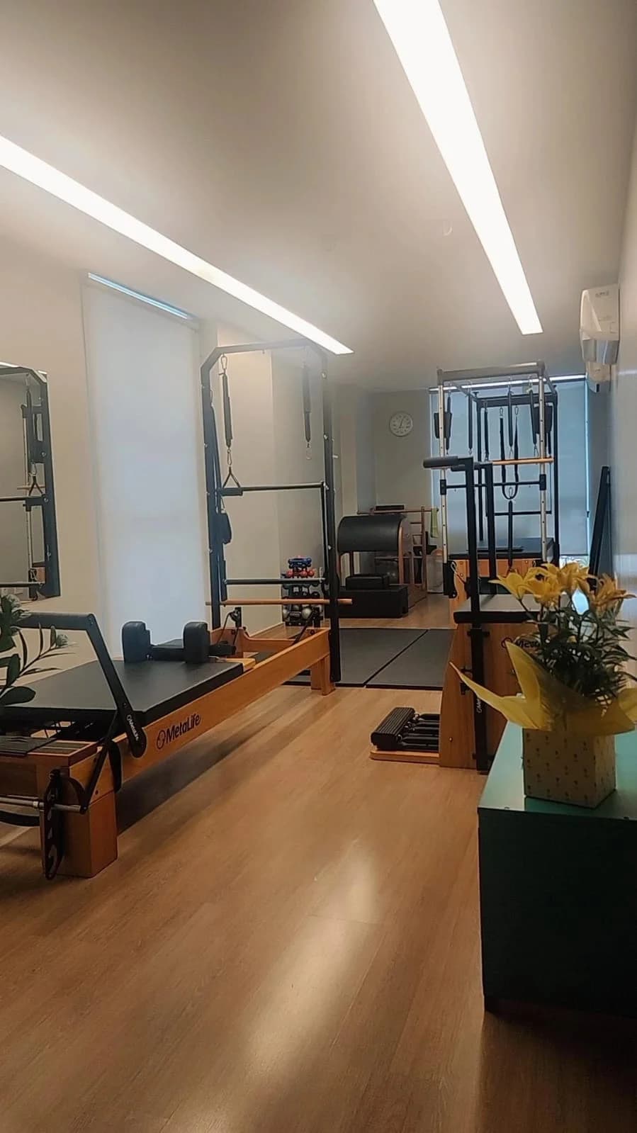 Joy Pilates Studio em Santa Rosa - Niterói - Fisioterapeuta Ana Cristina Oliva – foto 3