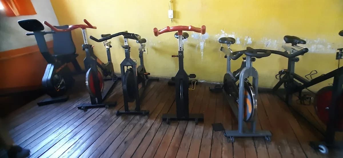 Point Fitness – foto 2