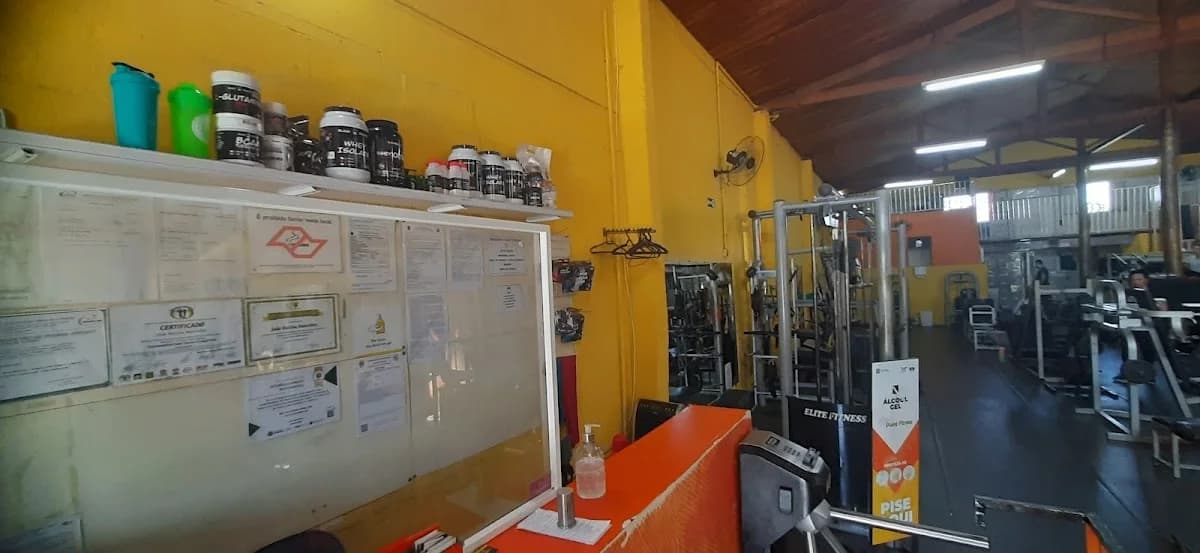 Point Fitness – foto 3