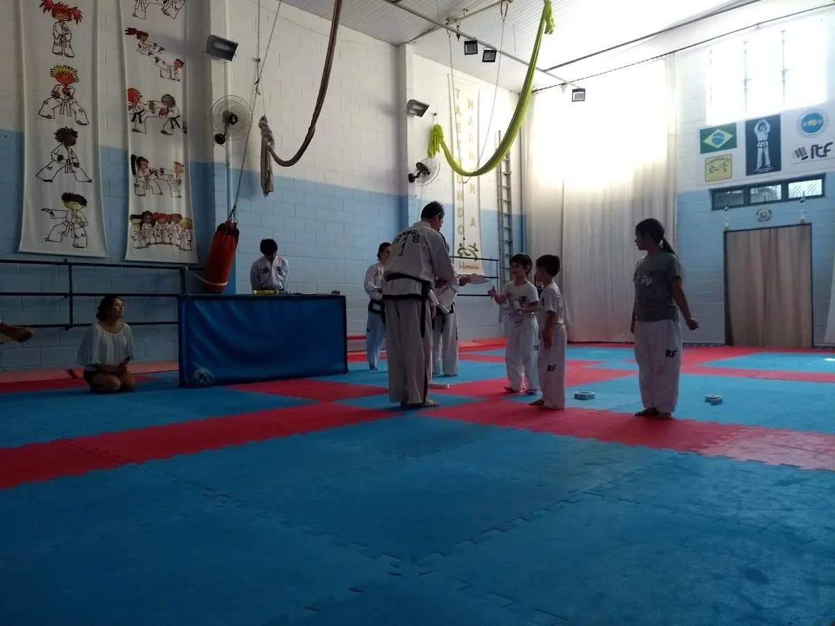 Academia Harmonia – foto 2