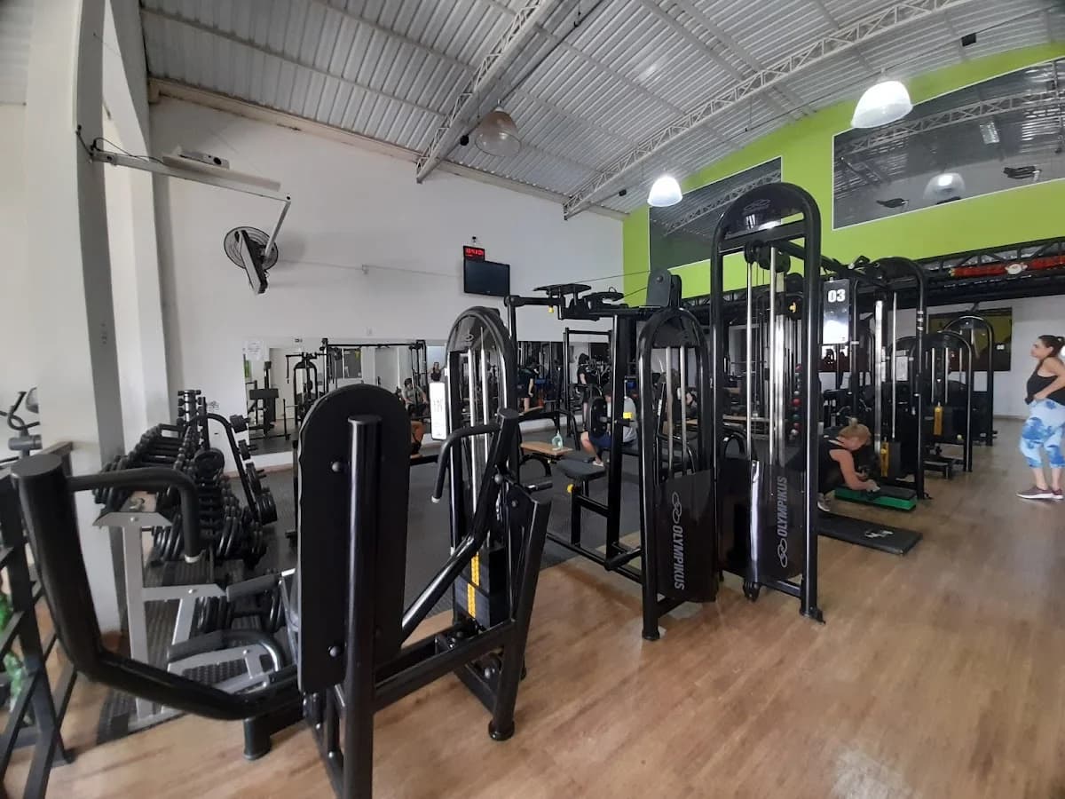 Imperium Academia – foto 3