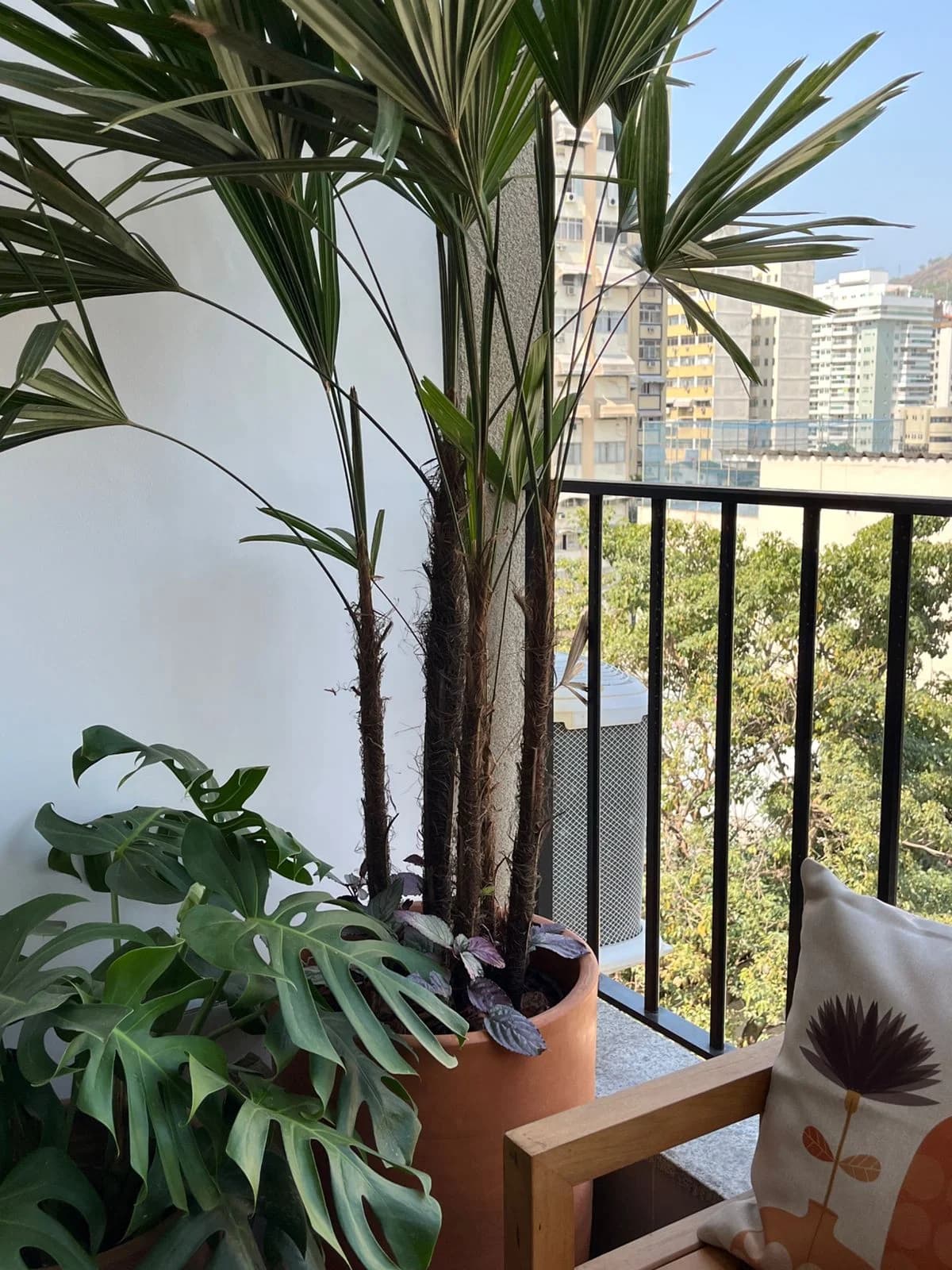 Studio de Pilates Fisioviva Icaraí – foto 3