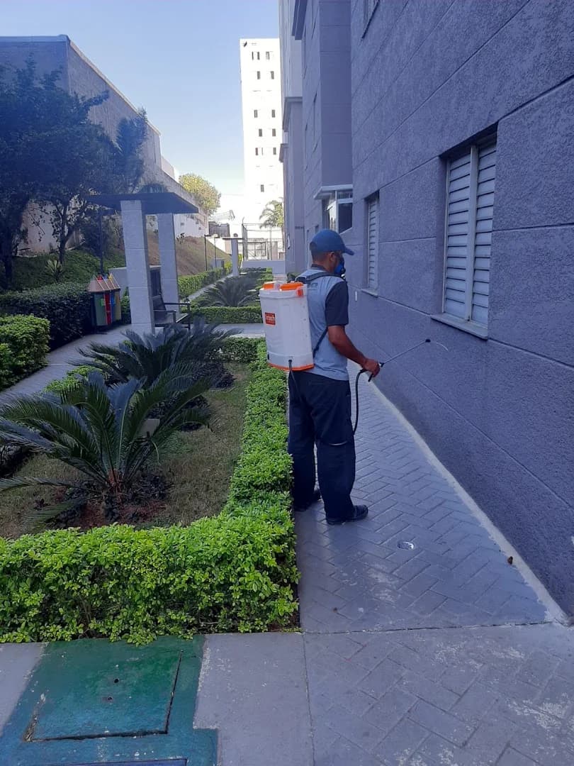 D-Tec | Dedetizadora e Desentupidora São Bernardo do Campo – foto 3