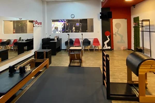 Pure Pilates - Belo Horizonte - Mangabeiras – foto 1