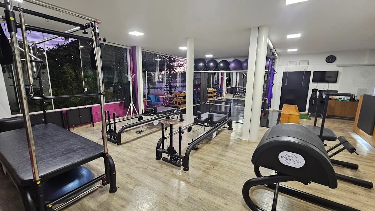 ELEVE-SE Pilates e Fisioterapia – foto 2