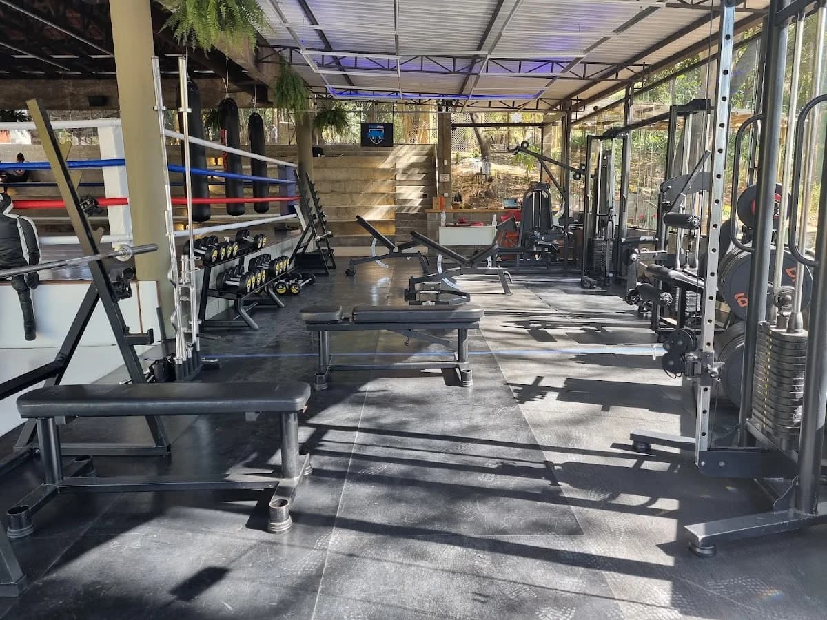 Vila Raiz – foto 2