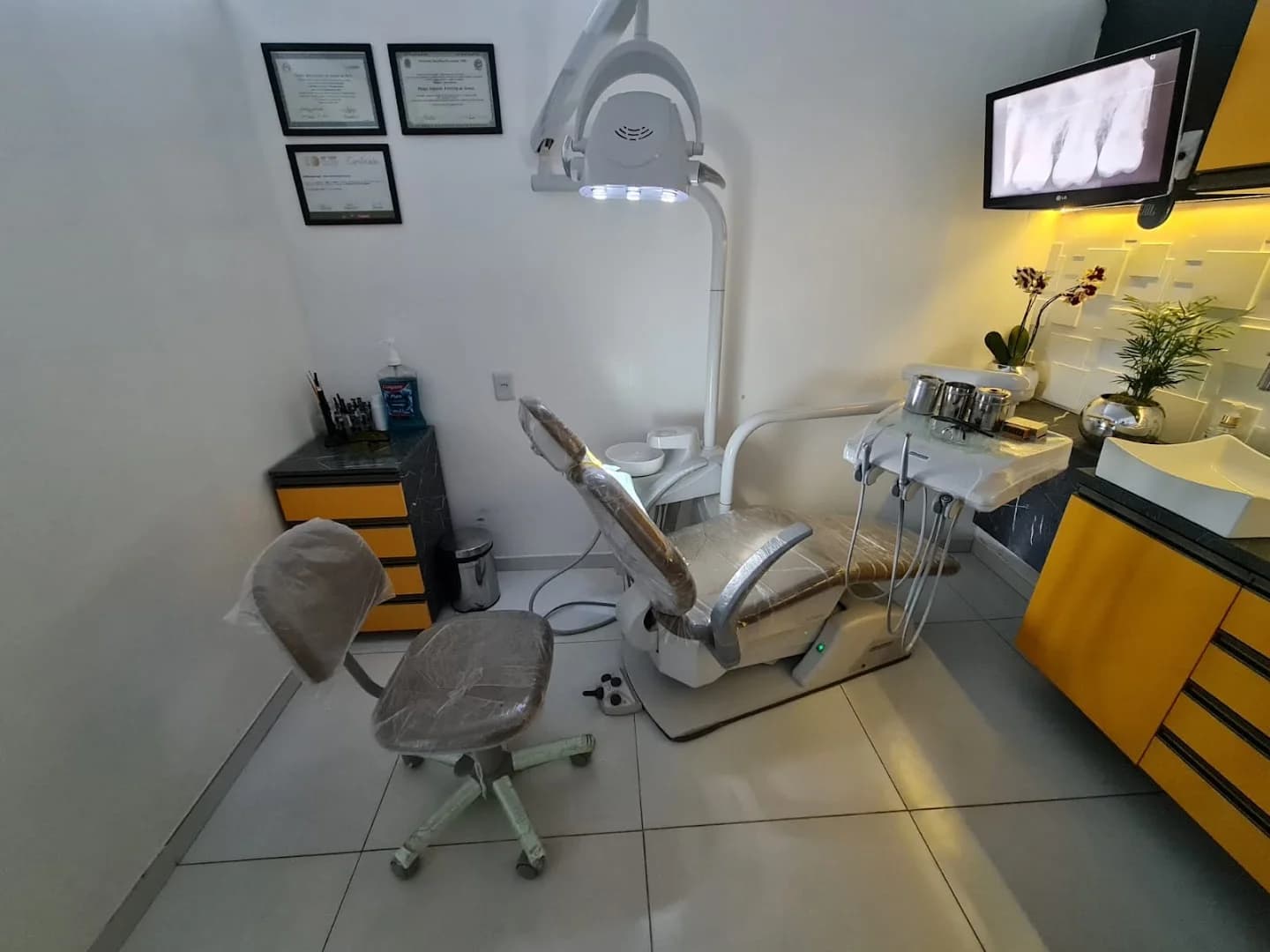 Odontoblanco – foto 3