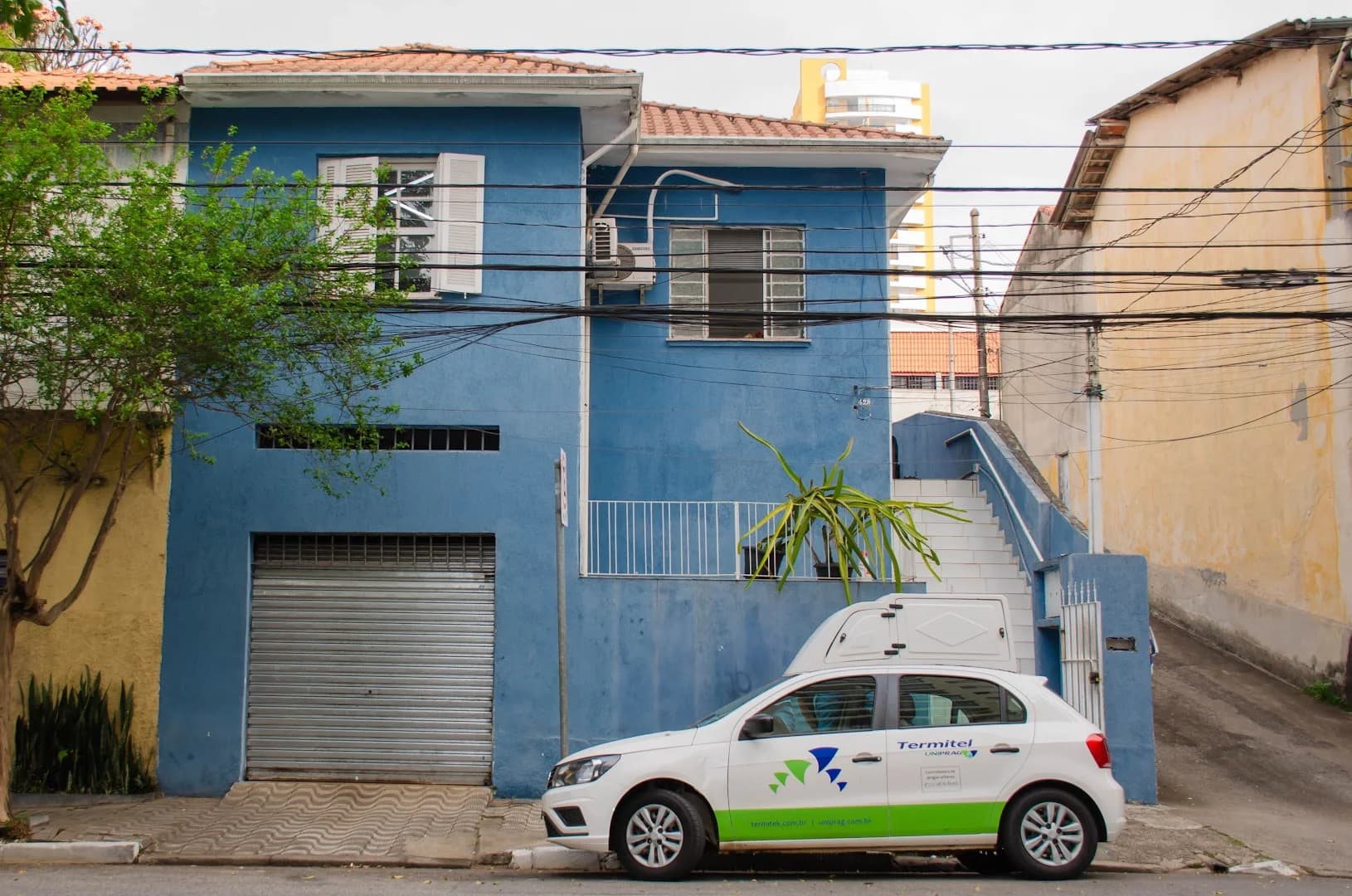 Dedetizadora Termitek SP / Termitek Controle Pragas São Paulo – foto 1