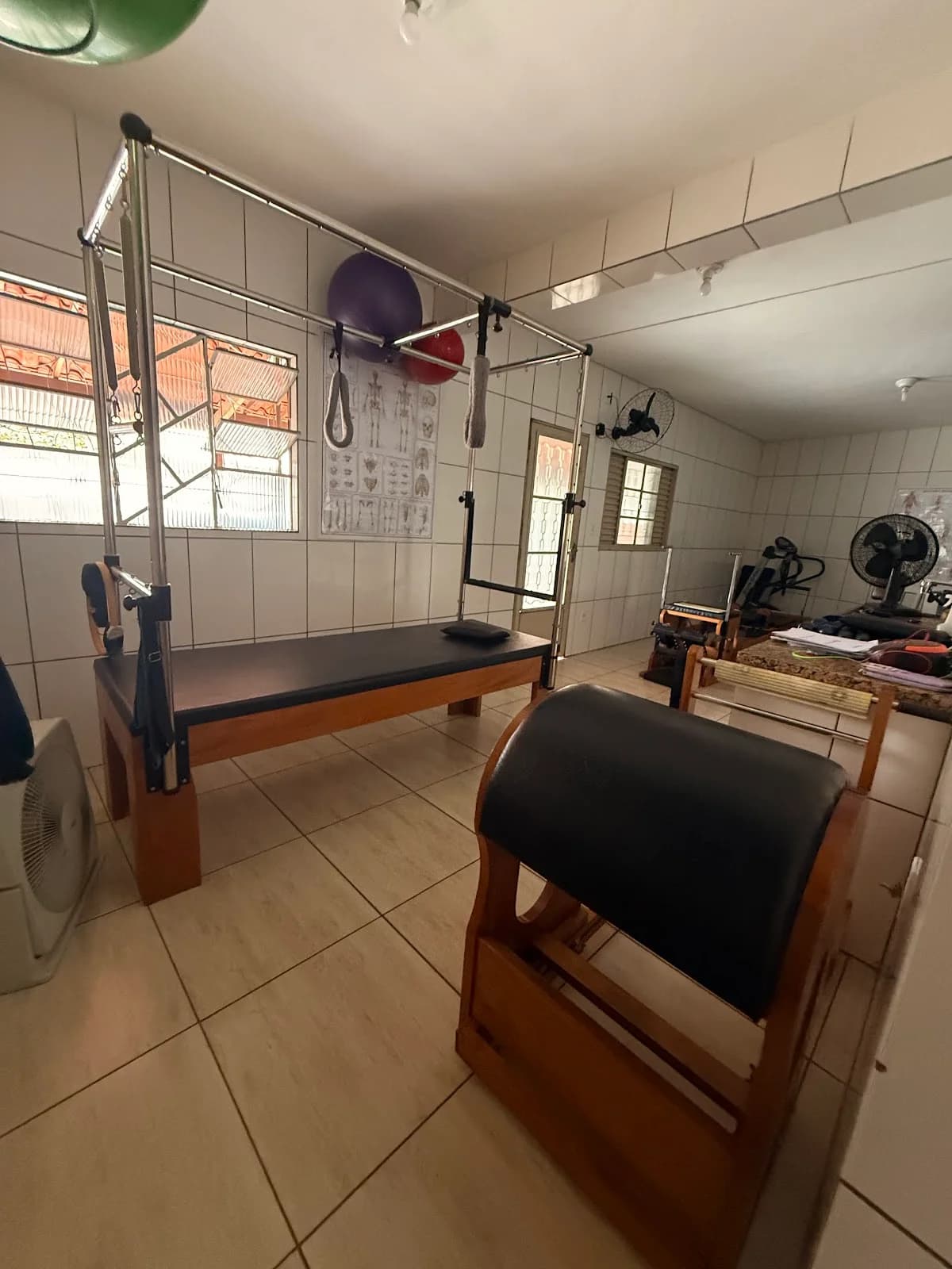 SPINA DORSALE - Fisioterapia - Pilates – foto 2