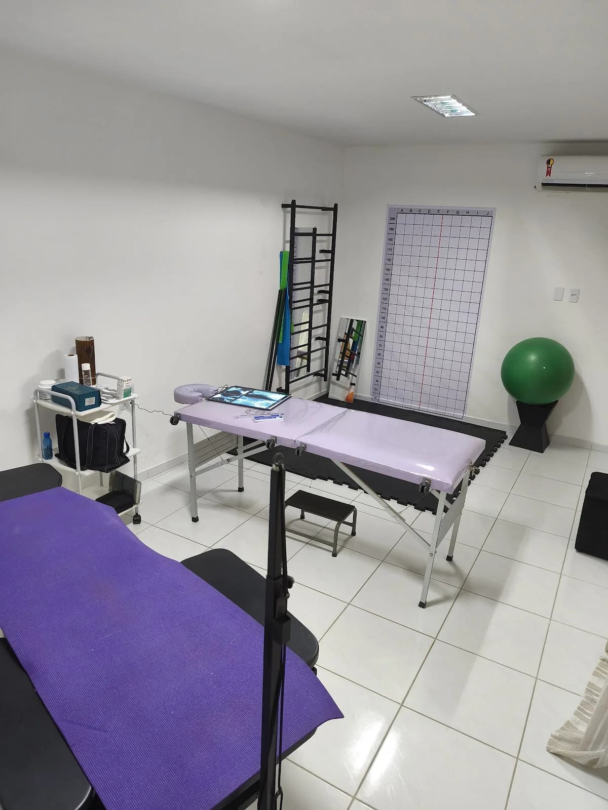 Dra Isadora Arruda - Fisioterapeuta - Tratamento específico para Escoliose e disfunções posturais – foto 1