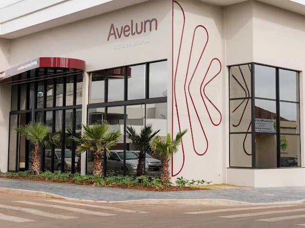 Avelum Estética e Saúde Capilar – foto 1