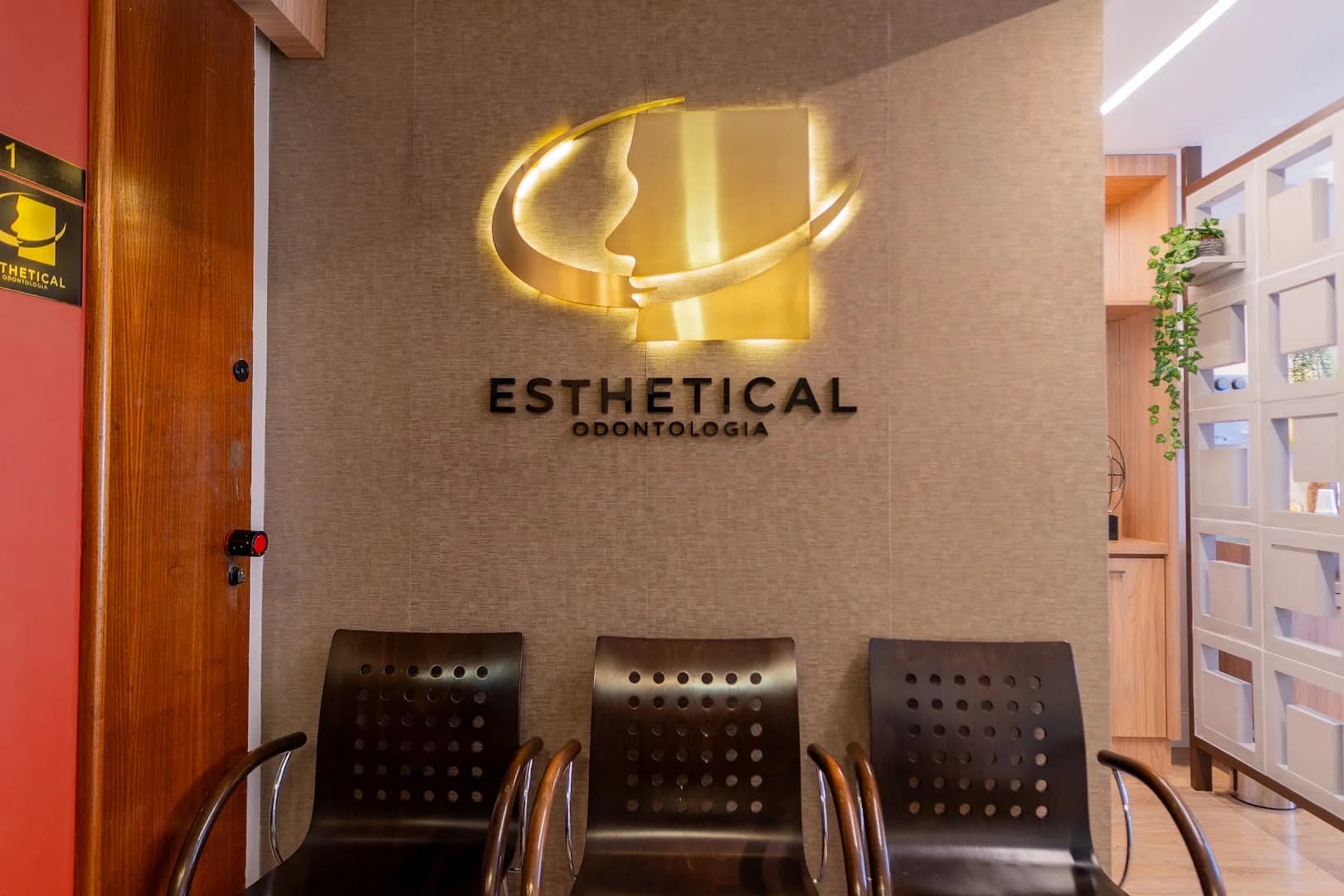 Esthetical Odontologia