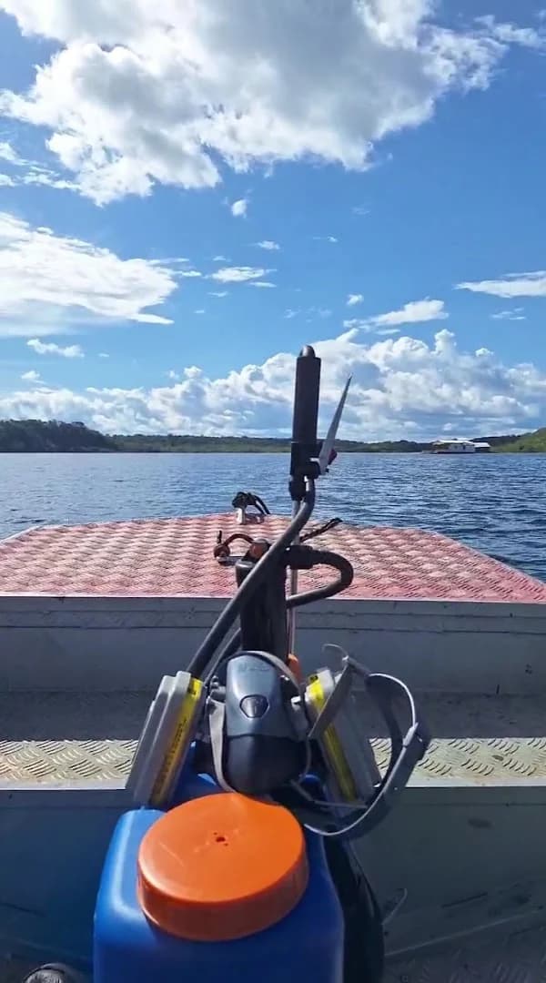 TOTAL DEDETIZAÇÃO MANAUS