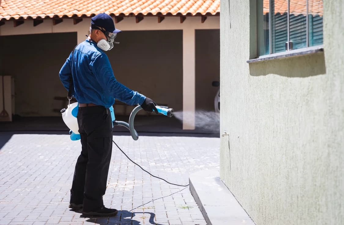 Dedetizadora - SHINRAI Controle de Pragas Urbanas. Orçamento sem custo. – foto 3
