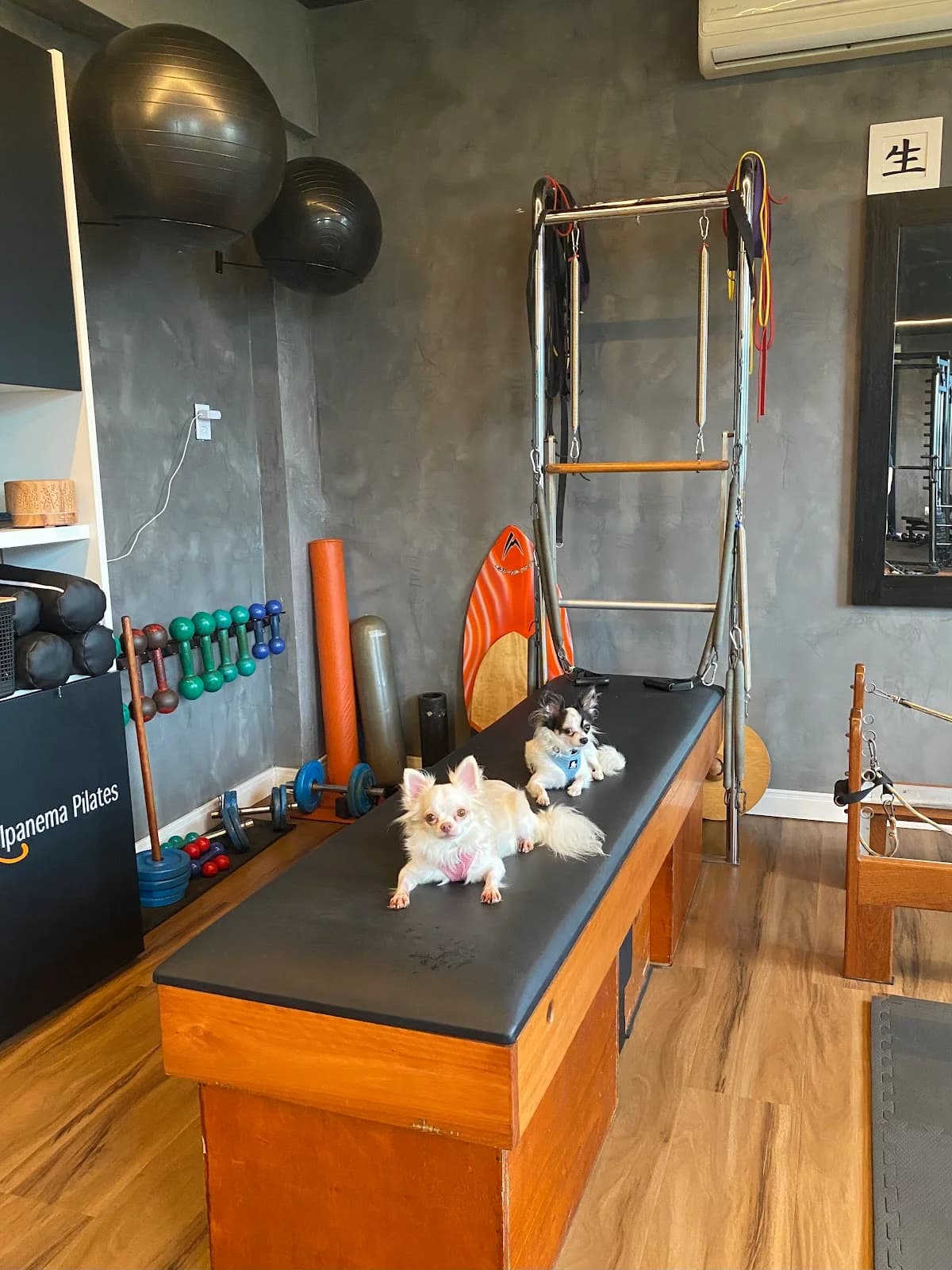 Ipanema Pilates – foto 2