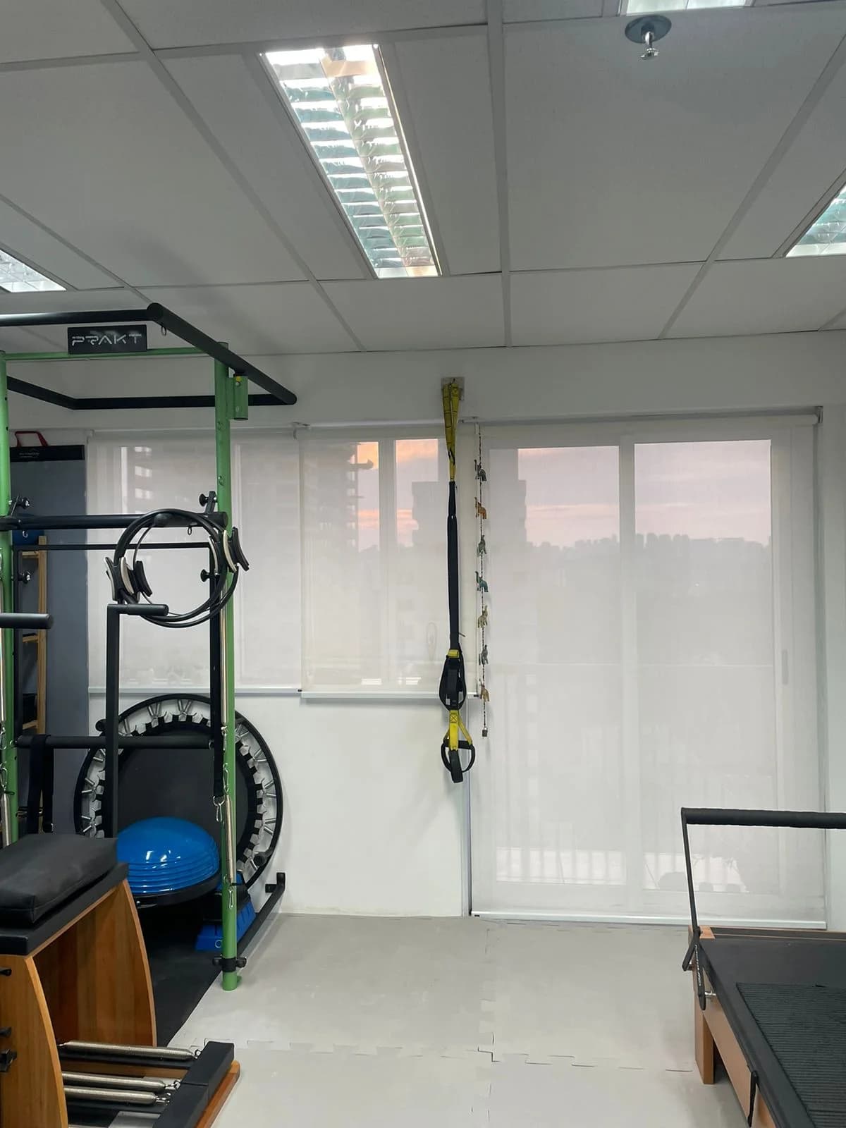 Pilates na Dor Crônica e Fisioterapia - Talyta Brandão – foto 2