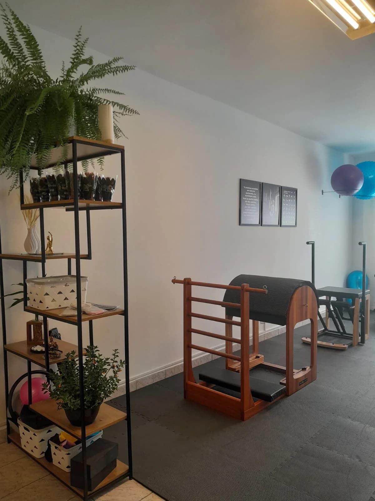 Lumina Pilates & Terapias – foto 2