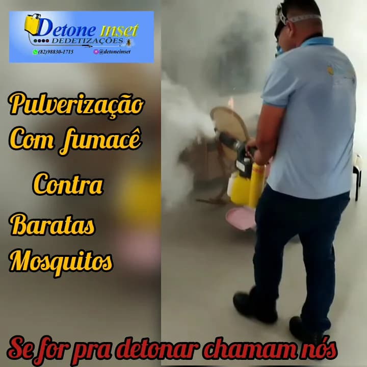 Detone inset dedetização