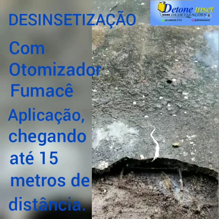 Detone inset dedetização – foto 3
