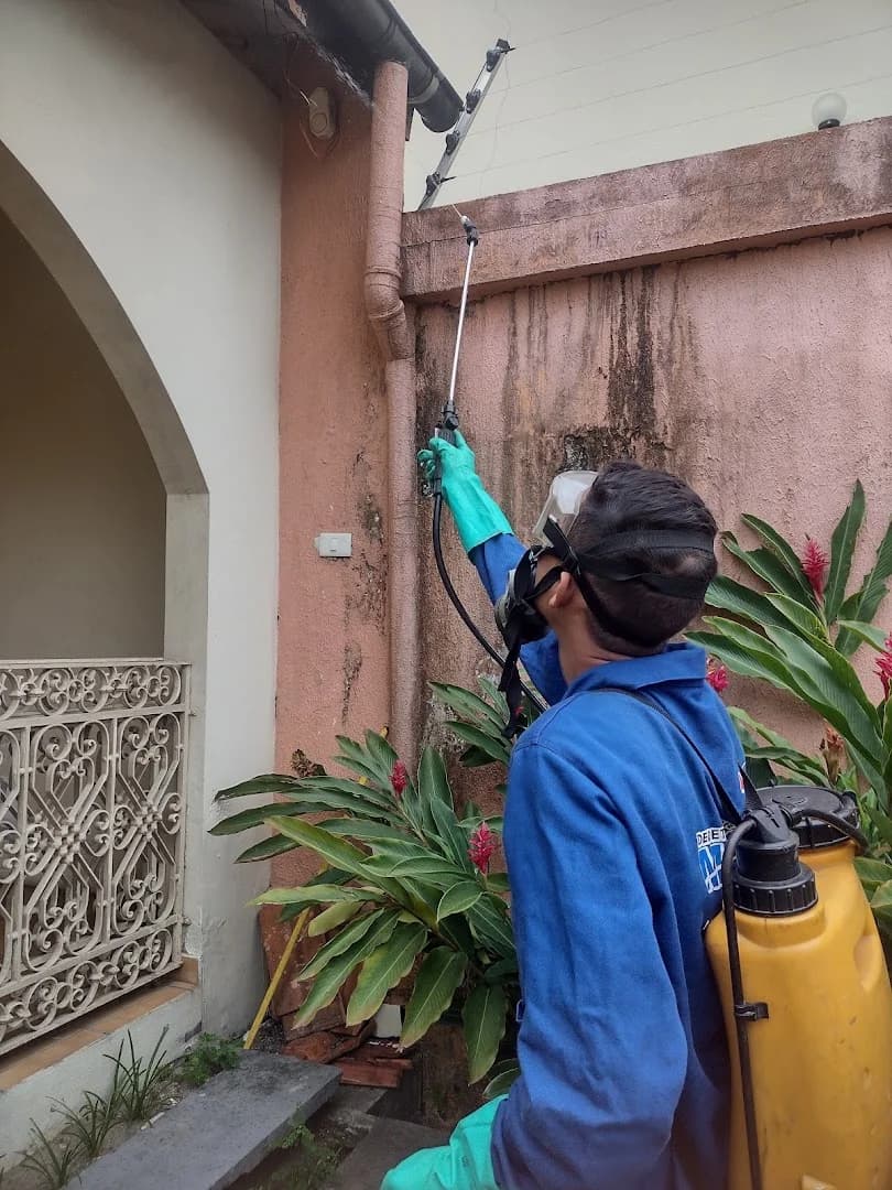 Dedetizadora Manaus I Controle de Pragas – foto 1